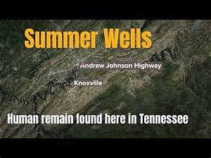 Where Was Summer Wells Human Remains Found? Father Don Wells & Family Reaction