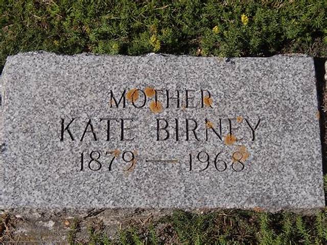 Who Are Mollie Kate & Peter Birney? Details We Know About David Birney Children