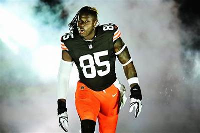Who Are Tight End David Njoku Parents? Meet Innocent Njoku and Stella Njoku on Instagram