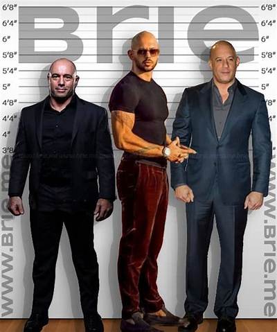 Who Is Andrew Tate: How Tall Is He?