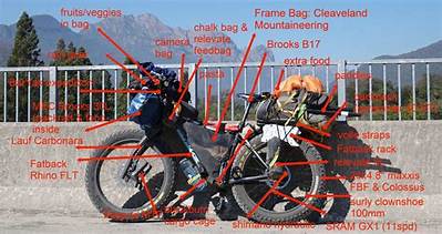 Who Is Bike Wanderer and What Happened to Him? Death Hoax Explained