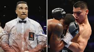 Who Is Boxing Referee Tony Weeks? Meet the Man Guarding the Castillo v Corrales Fight
