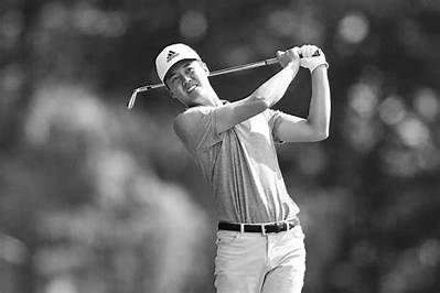 Who Is Brandon Wu? Details to Know About the Golfer
