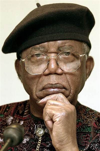 Who Is Chinelo Achebe? Everything to Know About the Daughter of Chinua Achebe