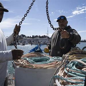 Who Is Crab Fisherman Maria Dosal from Deadliest Catch? Wiki, Biography