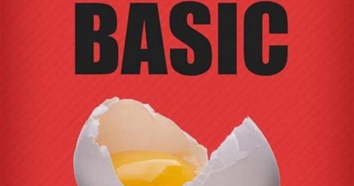 Who Is Howtobasic and What Do We Know About Him?