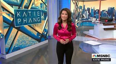 Who Is Katie Phang from Msnbc? All About the Presenters Family with Her Attorney Husband