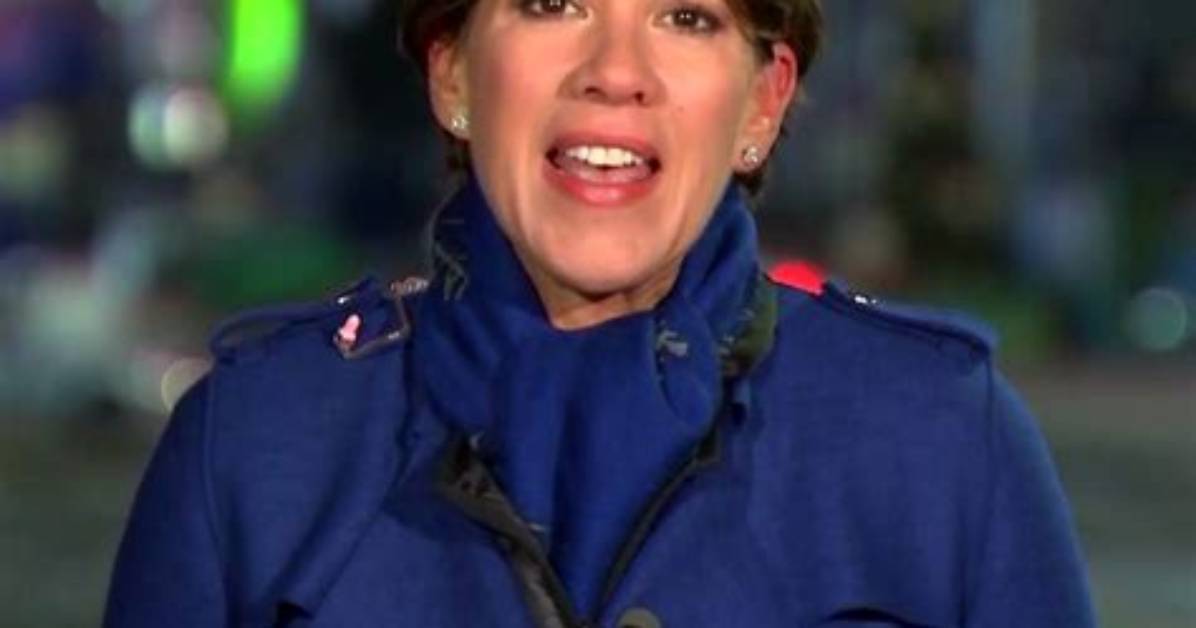 Who Is Kelly Cobiella from Nbc News? Here Is What We Know About the Journalist