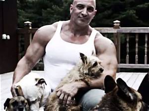 Who Is Nicholas Tartaglione? Details to Know About the Former Briarcliff Manor Police Officer