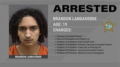 Who Is Orisha Luckey? Man Arrested with 37 Prior Charges – New York