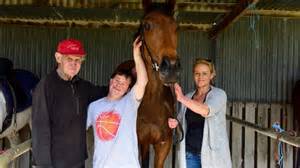 Who Is Paddy Payne? Everything to Know About the Senior Horse Trainer
