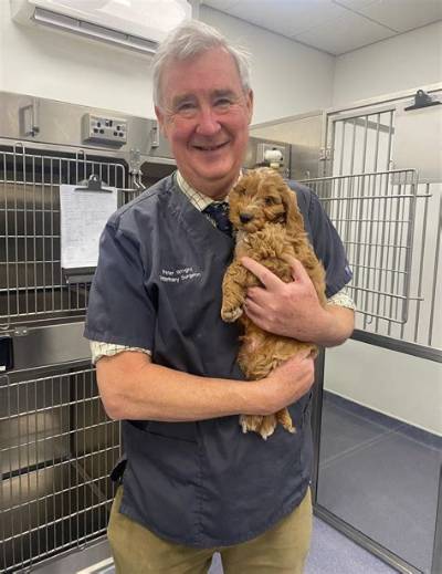 Who Is Peter Wright Yorkshire Vet? His Wikipedia and Age