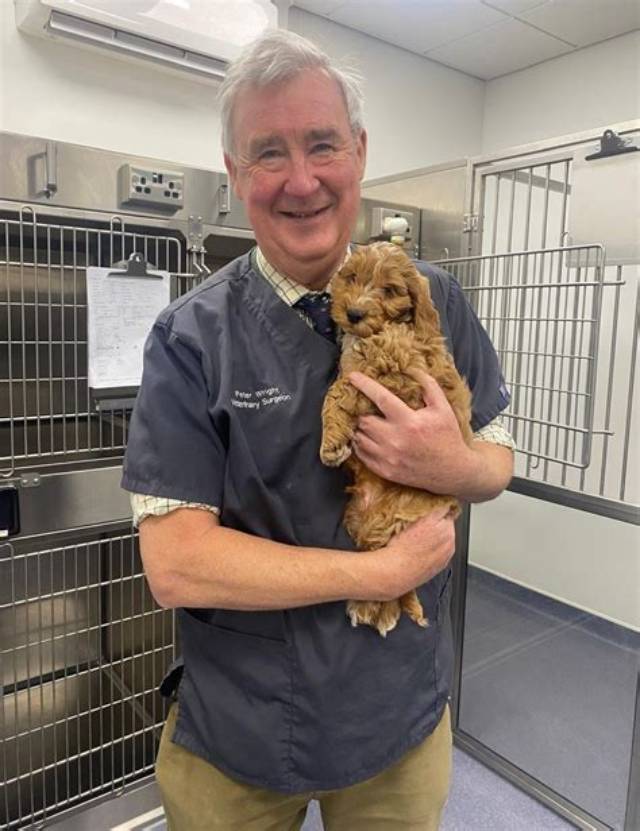 Who Is Peter Wright Yorkshire Vet? His Wikipedia and Age