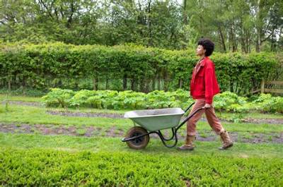 Who Is Poppy Okotcha? Details to Know About the Horticulturist