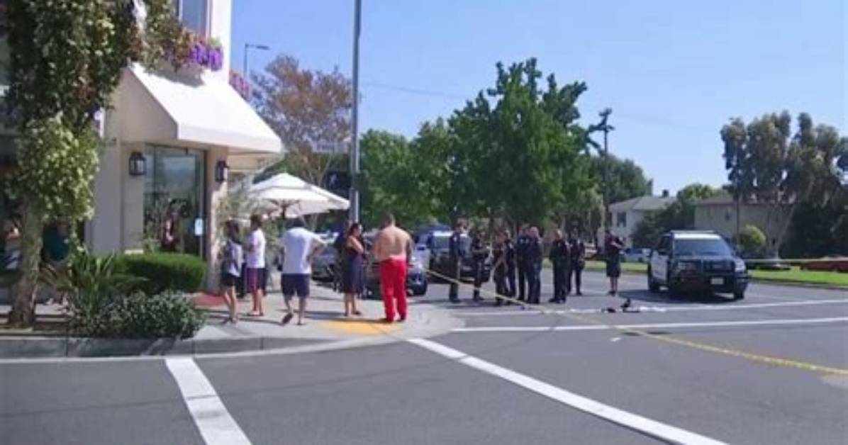Who Is Robert Torosian? Shot and Wikipedia Details on Glendale Shooting