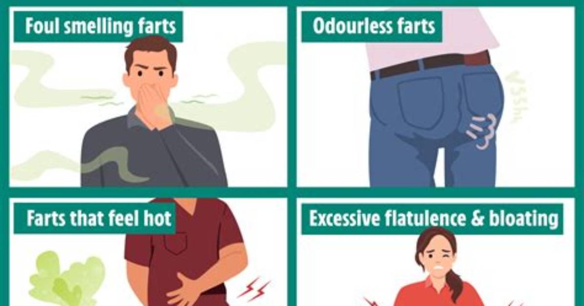 Why Are Some Farts Warm