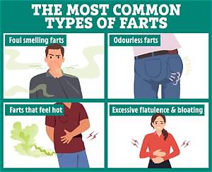 Why Are Some Farts Warm