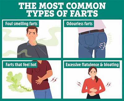 Why Are Some Farts Warm