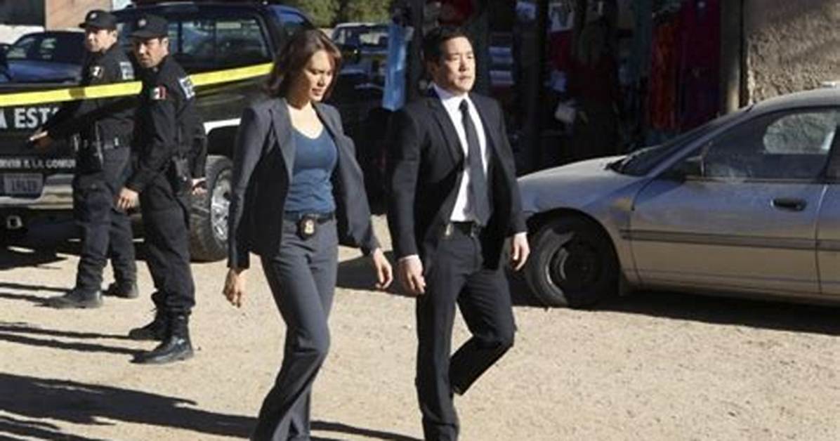 Why Did Emily Swallow Leave the Mentalist?