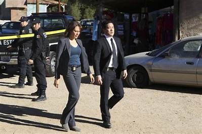 Why Did Emily Swallow Leave the Mentalist?