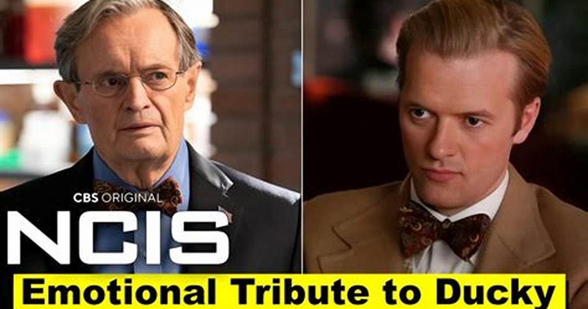 Why Did Ncis Get Rid of Ducky? Did Ducky Leave Ncis Permanently?