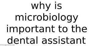 Why Is Microbiology Important to the Dental Assistant