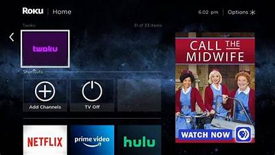 Why Was Twoku Removed from Roku Tv? People Have Different Reactions & Theories Regarding the Channels’s Exit