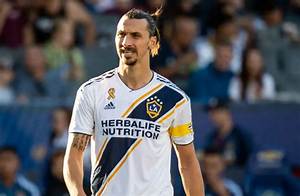 Zlatan Ibrahimovic – Bio, Wife, Height, Weight, Age, Net Worth